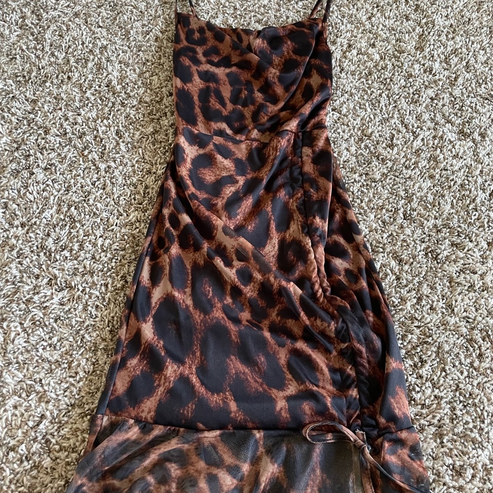 Animal Print Mesh Mini Dress